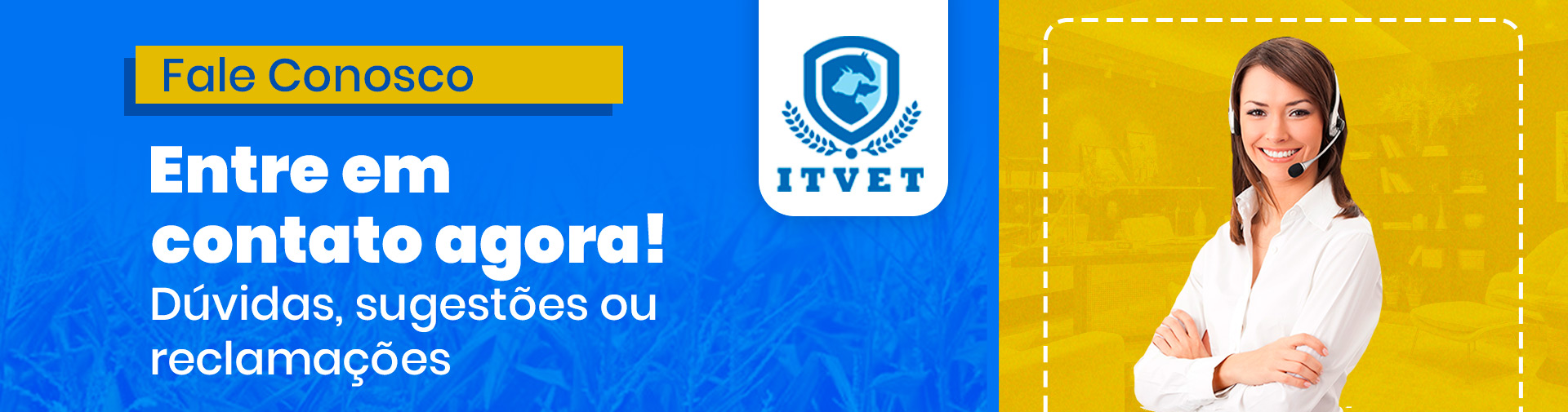 Itvet Contato