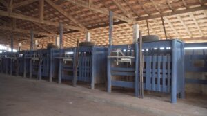 C0001.00_09_43_08.Still048