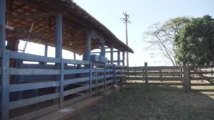 C0001.00_11_17_02.Still051