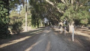 C0001.00_21_42_11.Still103