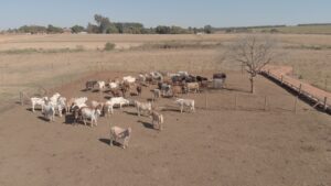 C0001.00_25_31_08.Still075